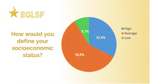 Pie chart: socioeconomic status