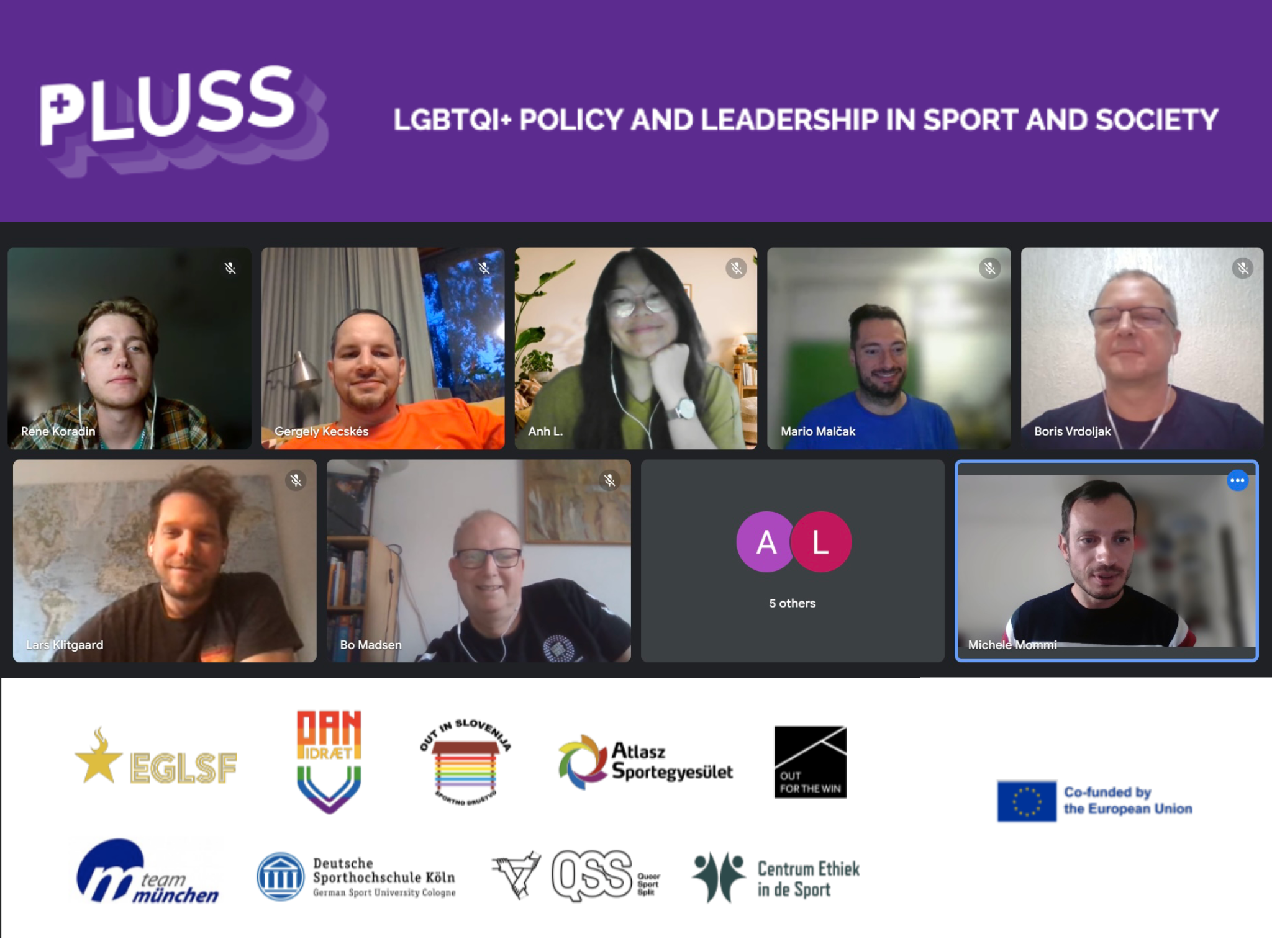PLUSS CAPACITY online meeting